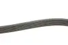 Фото Поліклиновий ремінь Gates (6PK2175) зображення 3