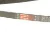 Фото Поліклиновий ремінь Gates (6PK2175) зображення 5
