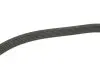 Фото Поліклиновий ремінь Gates (6PK2448) зображення 3