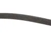 Фото Поліклиновий ремінь Gates (6PK2520) зображення 3