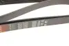 Фото Поликлиновый ремень Gates (6PK2563) изображение 4