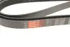 Фото Поликлиновый ремень Gates (6PK2563) изображение 5