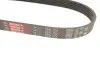 Фото Поліклиновий ремінь Gates (6PK700) зображення 3
