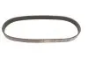 Фото Поліклиновий ремінь Gates (6PK700) зображення 4