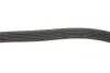 Фото Поліклиновий ремінь Gates (6PK730) зображення 3