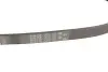 Фото Поліклиновий ремінь Gates (6PK738) зображення 4