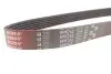 Фото Поліклиновий ремінь Gates (6PK743) зображення 4