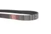 Фото Поликлиновый ремень Gates (6PK870) изображение 4