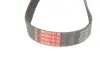 Фото Поліклиновий ремінь Gates (6PK883) зображення 3