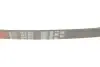 Дорожный пас Gates (6PK893) изображение 4