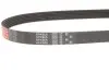 Фото Поликлиновый ремень Gates (6PK905) изображение 2