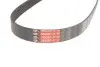 Фото Поликлиновый ремень Gates (6PK905) изображение 3