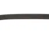 Фото Поликлиновый ремень Gates (6PK905) изображение 4