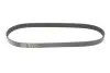 Фото Поликлиновый ремень Gates (6PK905) изображение 5