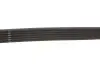 Фото Поліклиновий ремінь VOLVO C30, S40 II, S60 II, S80 II, V40, V50, V60 I, V70 III ALFA ROMEO GTV, SPIDER CITROEN BERLINGO, BERLINGO MULTISPACE, C1, C3 AIRCROSS I, C3 II 1.4D-4.5 01.89 Gates (6PK965) зображення 3