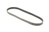 Фото Поліклиновий ремінь (6PK989) SEAT IBIZA IV, IBIZA IV SC, IBIZA IV ST, IBIZA V, MII, TOLEDO IV SKODA CITIGO, FABIA III, FABIA III PRAKTIK, RAPID VW LOAD UP!, POLO V, UP! 1.0/1.0CNG/1.6 08.11 Gates (6PK989SF) зображення 2