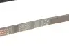 Фото Поліклиновий ремінь (6PK989) SEAT IBIZA IV, IBIZA IV SC, IBIZA IV ST, IBIZA V, MII, TOLEDO IV SKODA CITIGO, FABIA III, FABIA III PRAKTIK, RAPID VW LOAD UP!, POLO V, UP! 1.0/1.0CNG/1.6 08.11 Gates (6PK989SF) зображення 4