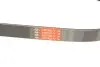 Фото Поликлиновый ремень Gates (7PK1035) изображение 5