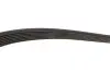 Фото Поликлиновый ремень Gates (7PK1140) изображение 3