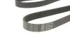 Фото Поликлиновый ремень Gates (7PK1515) изображение 3