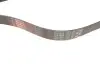 Фото Поліклиновий ремінь Gates (7PK1600) зображення 2