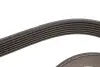 Фото Поліклиновий ремінь Gates (7PK1600) зображення 3