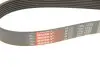 Фото Поліклиновий ремінь Gates (7PK1633) зображення 5