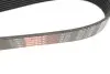 Фото Поліклиновий ремінь Gates (7PK1705) зображення 3