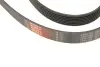 Фото Поліклиновий ремінь Gates (7PK1785) зображення 4