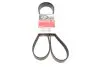 Фото Ремень поликлиновый Gates (7PK1815) изображение 1