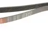 Фото Поліклиновий ремінь Gates (7PK1910) зображення 4