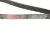 Фото Поликлиновый ремень Gates (7PK1920) изображение 2