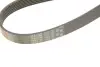 Фото Поліклиновий ремінь Gates (7PK2120) зображення 4