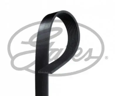 Дорожный пас Gates 8PK1295XS Купить в Украине