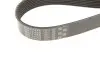 Фото Поліклиновий ремінь (8PK1310) Gates (8PK1310XS) зображення 4