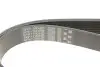 Фото Ремінь генератора MB Unimog 5.1D 13- OM934 Gates (8PK1790HD) зображення 5