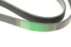 Фото Ремінь генератора MB Vario/Atego 2/LK/LN 2 96- OM 904 Gates (8PK1795HD) зображення 4