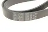 Фото Ремінь генератора MB Vario/Atego 2/LK/LN 2 96- OM 904 Gates (8PK1795HD) зображення 5