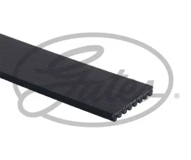 Поліклиновий ремінь (8PK1808) IVECO CROSSWAY VOLVO 7500, 8500, 8700, 9700, 9900, B12 D12D340-F2CFE612B 01.97 Gates 8PK1808HD