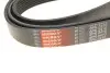 Фото Поліклиновий ремінь Gates (8PK2410) зображення 5