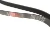 Фото Поліклиновий ремінь FORD USA EXPEDITION JEEP GRAND CHEROKEE II 3.1D/4.6/5.4 08.96-02.06 Gates (8PK2485) зображення 2