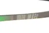 Ремінь генератора Volvo FH12/FH16/FM12 12.1D/16.1D 93 Gates (8PK975HD) зображення 4