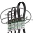 Клиновий ремінь водяного насоса THERMO KING SL 100e SL 200e SL 300 SL 400e SLX100 SLX200 SLX400 Gates (CB0063) зображення 1
