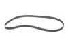 Фото Комплект ГРМ (ремінь + ролик) AUDI 100 C2, 100 C3, 80 B1, 80 B2, 80 B3, 80 B4, 90 B3, COUPE B2, COUPE B3 PORSCHE 924 SEAT CORDOBA, CORDOBA VARIO, IBIZA II, INCA, TOLEDO I 1.0-2.0 05.72 Gates (K015016) зображення 4