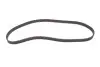Фото Комплект ГРМ (ремінь + ролик) DACIA PICK UP, SOLENZA RENAULT CLIO I, CLIO II, KANGOO, KANGOO EXPRESS, RAPID, THALIA I 1.9D 01.91 Gates (K015484XS) зображення 11