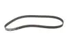Фото Комплект ГРМ (ремінь + ролик) CITROEN BERLINGO, C3 I, XSARA PEUGEOT 206, 307, PARTNER, PARTNER ORIGIN 1.6/1.6ALK/1.6LPG 07.00 Gates (K015581XS) зображення 5