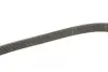 Комплект поликлинових ременів (з роликами) VOLVO C30, S40 II, S80 II, V50, V70 III CITROEN C1, C2, C2 ENTERPRISE, C3 I, C3 PLURIEL, C4, C4 I FORD C-MAX, C-MAX II, FIESTA V 1.4D/1.6D 10.01 Gates (K016PK803) зображення 8