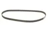 Фото Комплект ГРМ (ремінь + ролик) CHEVROLET CAPTIVA, VECTRA DAEWOO LEGANZA OPEL ANTARA A, FRONTERA A, FRONTERA B, OMEGA B, SINTRA, VECTRA B 2.2/2.4/2.4LPG 03.95 Gates (K025461XS) зображення 2