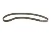Комплект ГРМ (ремінь + ролик) AUDI A3, A4 B5, A6 C5, TT SEAT ALHAMBRA, CORDOBA, IBIZA II, LEON, TOLEDO II SKODA OCTAVIA I VW BORA, BORA I, GOLF IV, NEW BEETLE, SHARAN 1.8 01.95-12.10 Gates (K025491XS) зображення 2