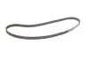 Фото Комплект ГРМ (ремінь + ролик + водяний насос) CHEVROLET ASTRA OPEL ASTRA G, ASTRA H, ASTRA H GTC, CORSA C, MERIVA A, SIGNUM, TIGRA, VECTRA B, VECTRA C, VECTRA C GTS, ZAFIRA A 1.6/1.8 10.95-12.10 Gates (KP15499XS2) зображення 2